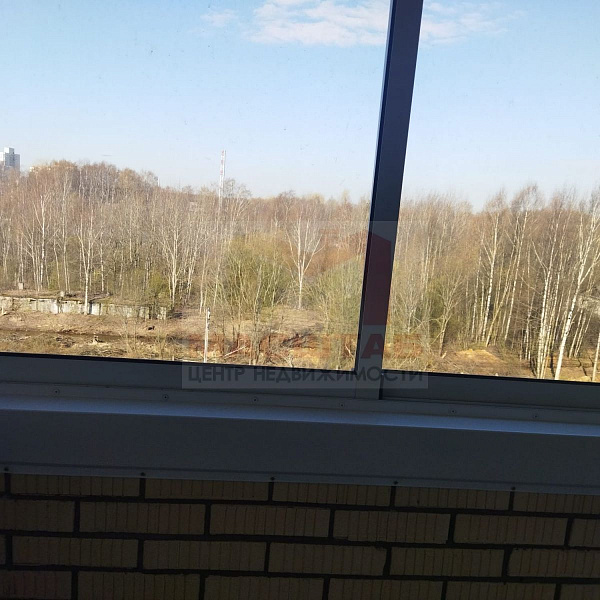 Студия 27.5 м Голландская д.10 к.2