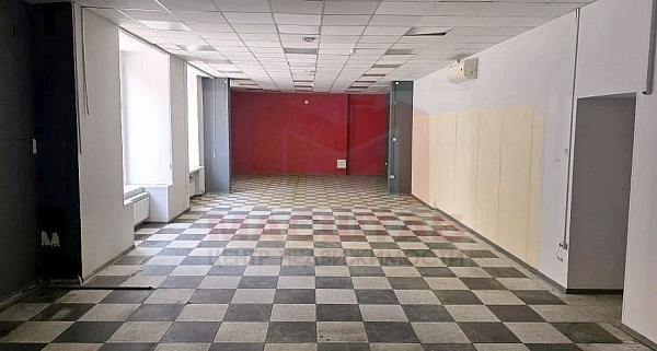 Универсальное (торговое) помещение - 242 м2