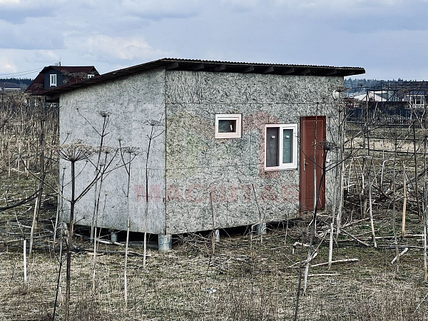Ленинградская область, Волосовский район, Клопицкое сельское поселение, д. Клопицы