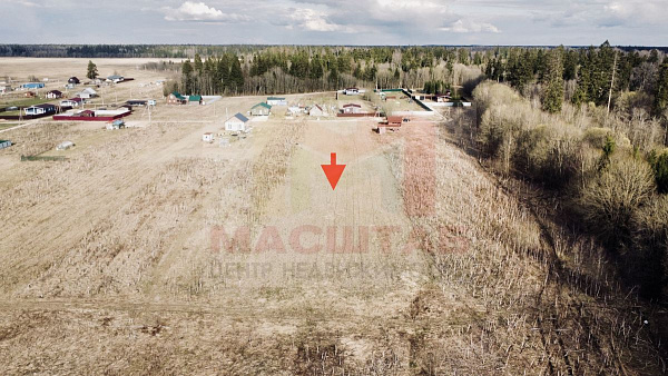 Российская Федерация, Ленинградская область, Волосовский муниципальный район, Клопицкое сельское поселение, д. Клопицы