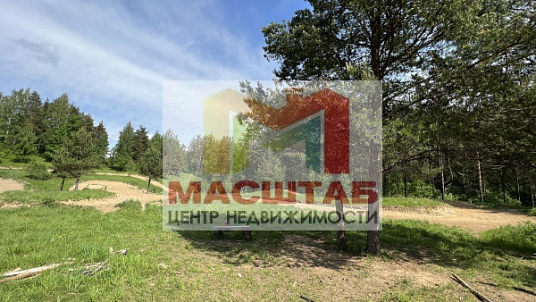 Старая Пустошь 107 соток