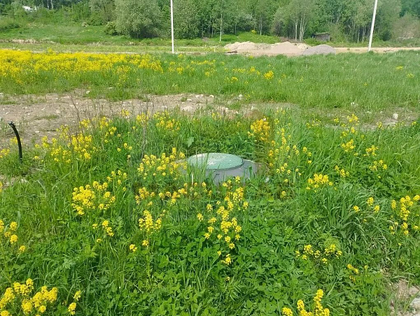 Капитолово 8 соток ДНП