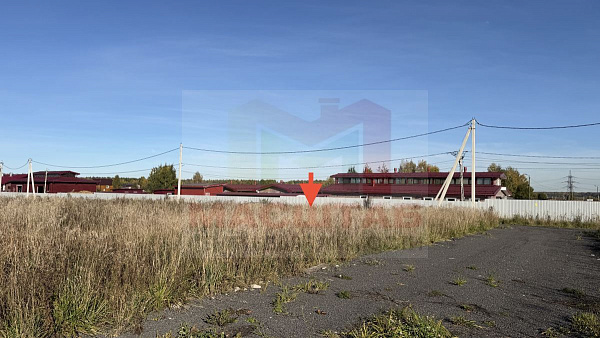 Райкузи 6,2 сотки ИЖС