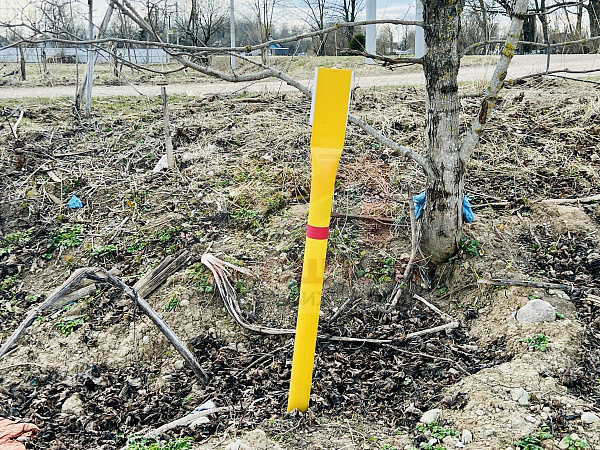 Ленинградская область, Волосовский район, Клопицкое сельское поселение, д. Клопицы