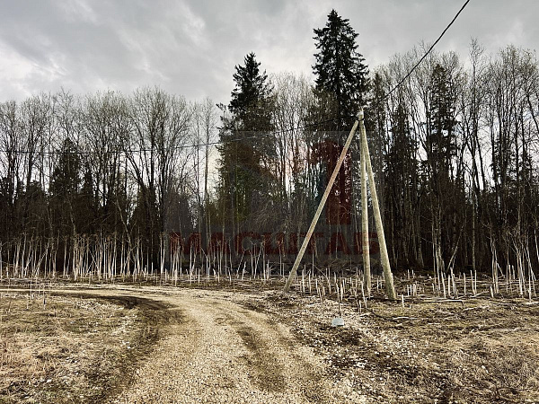 Российская Федерация, Ленинградская область, Волосовский муниципальный район, Клопицкое сельское поселение, д. Клопицы