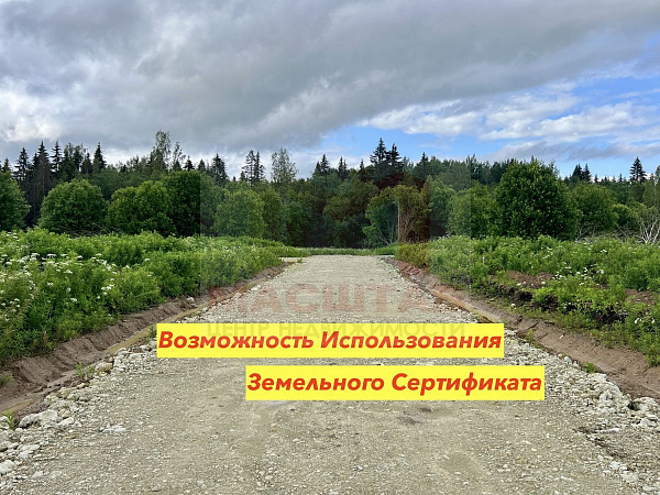 Ленинградская область, Ломоносовский муниципальный район, сельское поселение Лопухинское, Новая Буря.