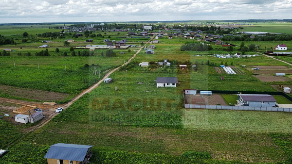 Клопицы