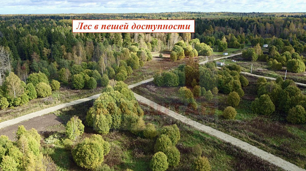 Новая буря 10 соток