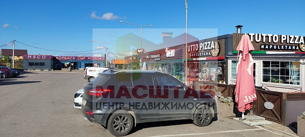 Узигонты