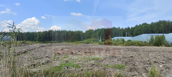 Разбегаево