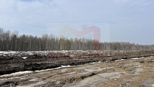 Пулковское Шоссе 2 га