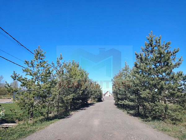 Домик в Елагино