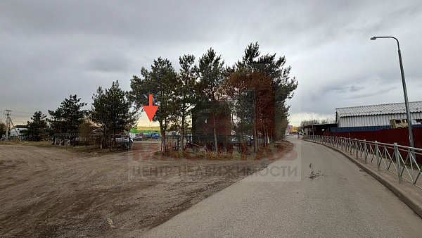 Аннино 41 сотка