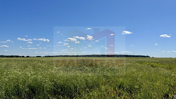 Копорье 14,3 Гектара