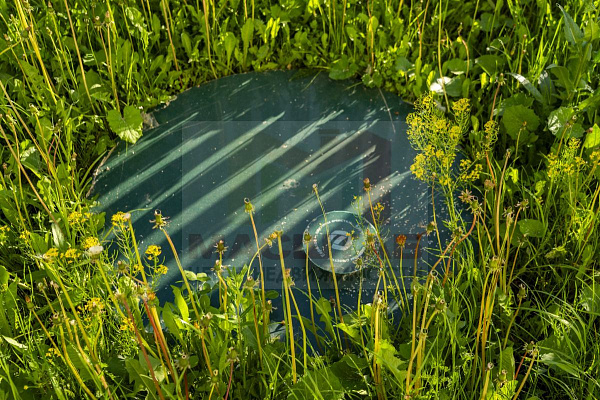 Дом  на участке 6 сот в Мухоловке