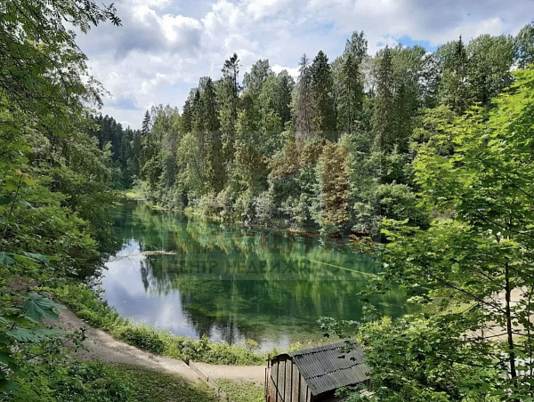 Новые Медуши 5 соток ДНП