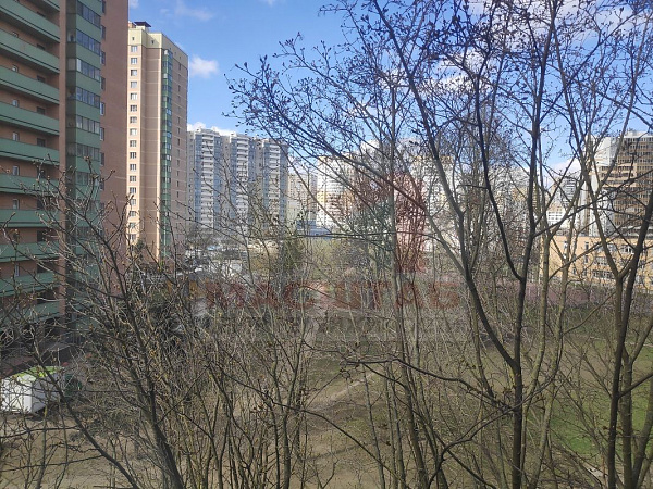 Шушары