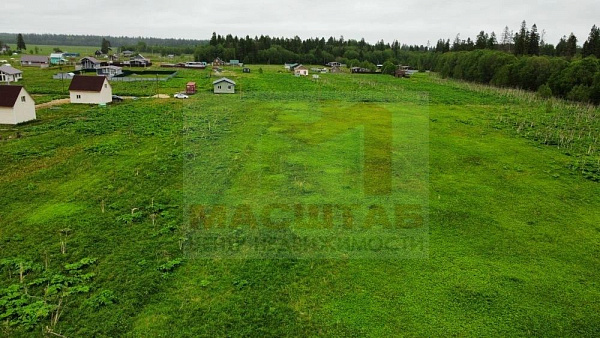 Клопицы