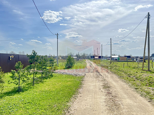Ленинградская область, Волосовский район, Калитинское сельское поселение, д. Лисино