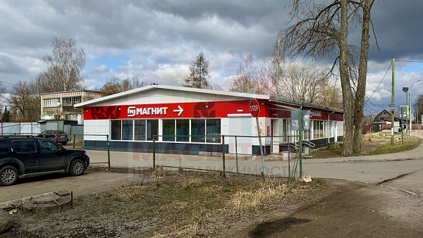 Куровицы дом 162 м