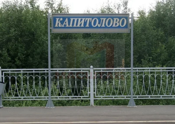 Капитолово 8 соток ДНП