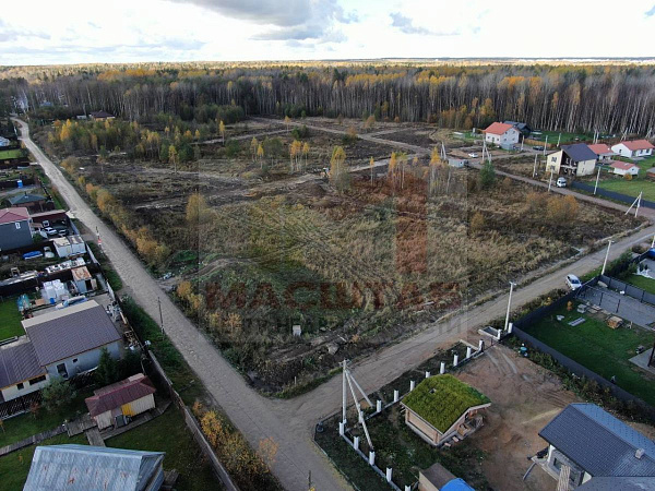 Узигонты