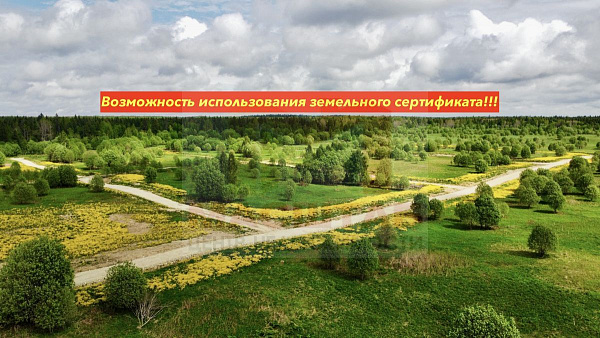 Ленинградская область, Ломоносовский муниципальный район, сельское поселение Лопухинское, Новая Буря.