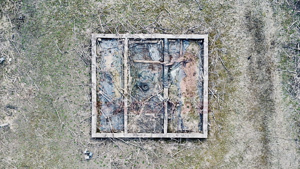 Ленинградская область, Волосовский район, Клопицкое сельское поселение, д. Клопицы