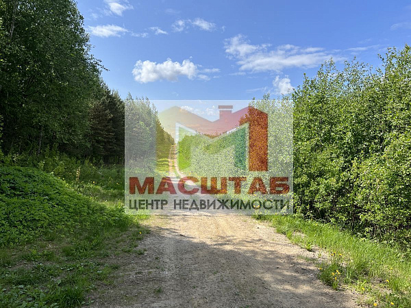 Старая Пустошь 107 соток