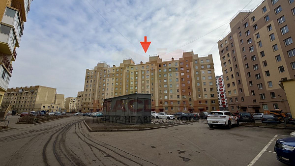 Ленсовета 266
