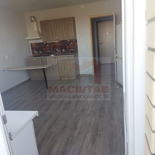 Студия 27.5 м Голландская д.10 к.2