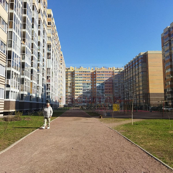 Студия 27.5 м Голландская д.10 к.2