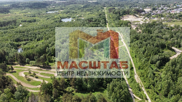 Старая Пустошь 107 соток