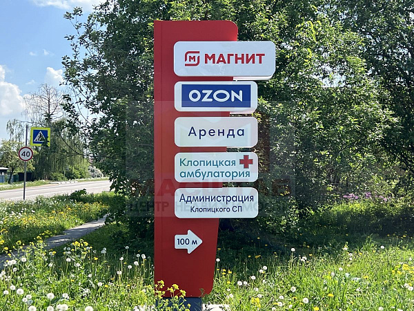 Ленинградская область, Волосовский район, Клопицкое сельское поселение, д. Клопицы