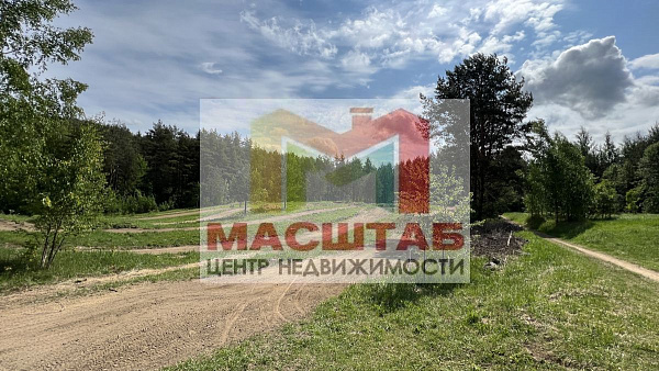 Старая Пустошь 107 соток