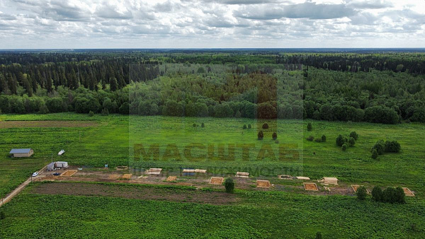 Клопицы