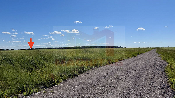 Копорье 14,3 Гектара