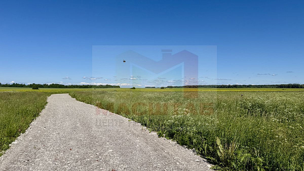 Копорье 14,3 Гектара