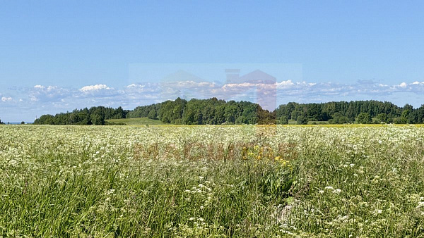 Копорье 14,3 Гектара