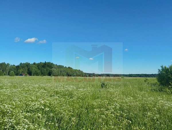 д.Горки