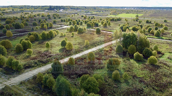 Новая буря 10 соток