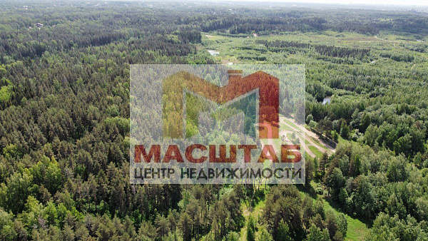 Старая Пустошь 107 соток