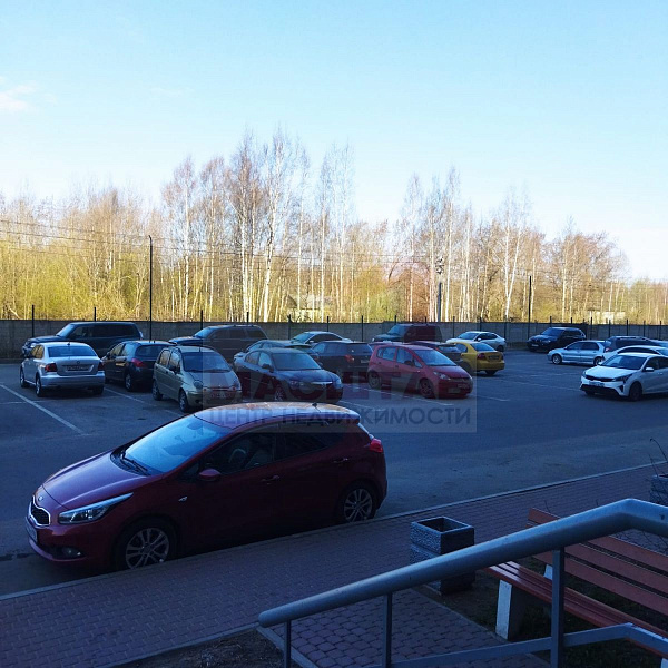 Студия 27.5 м Голландская д.10 к.2