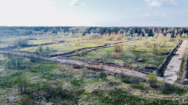 Ленинградская область, Ломоносовский муниципальный район, сельское поселение Лопухинское, Новая Буря.