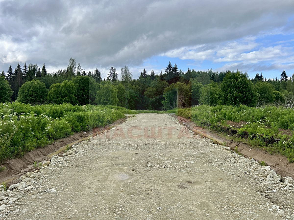 Ленинградская область, Ломоносовский муниципальный район, сельское поселение Лопухинское, Новая Буря.